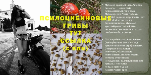 apvp Алексеевка