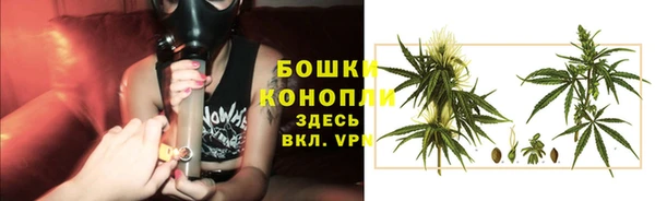 ECSTASY Майский