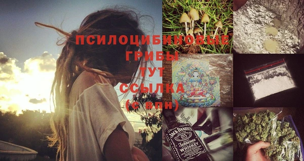 apvp Алексеевка