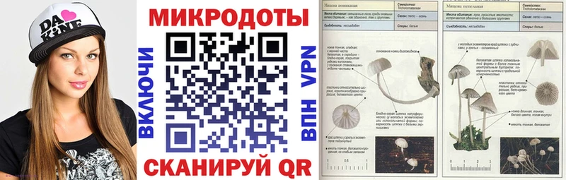 hydra как войти  Ахтырский  darknet состав  Галлюциногенные грибы мицелий 